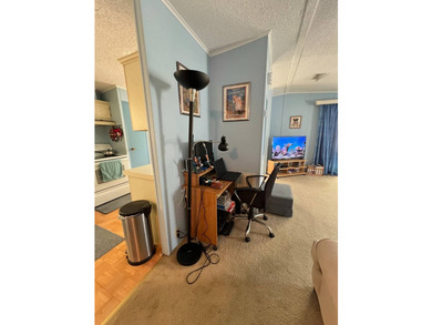 2 Bed | 2 Bath | 1008 square foot | $65,000 (Swiss Golf and - photo 18