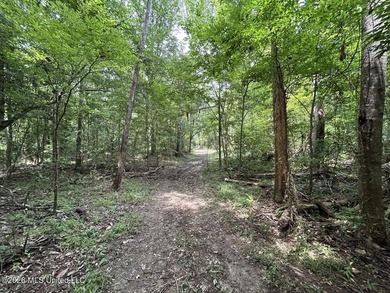 If you've been searching for a manageable hunting property with - photo 19