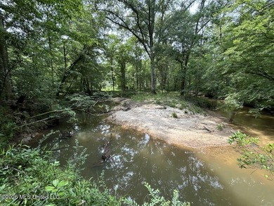 If you've been searching for a manageable hunting property with - photo 20