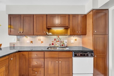 Golf Course View! Beautifully updated three-level Kensington - photo 21
