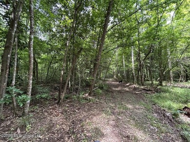 If you've been searching for a manageable hunting property with - photo 21