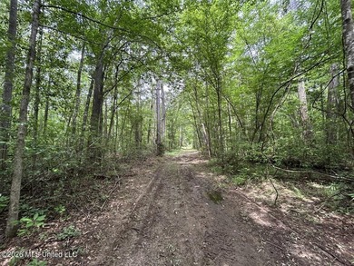 If you've been searching for a manageable hunting property with - photo 22