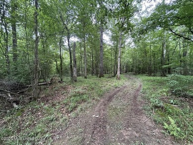 If you've been searching for a manageable hunting property with - photo 23