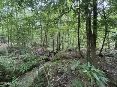If you've been searching for a manageable hunting property with - photo 24