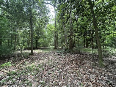 If you've been searching for a manageable hunting property with - photo 25