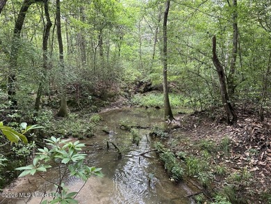 If you've been searching for a manageable hunting property with - photo 26