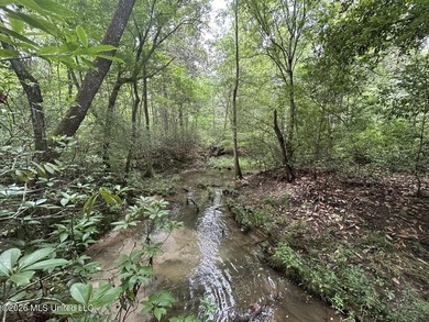If you've been searching for a manageable hunting property with - photo 27