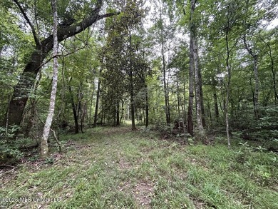If you've been searching for a manageable hunting property with - photo 28