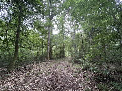 If you've been searching for a manageable hunting property with - photo 29