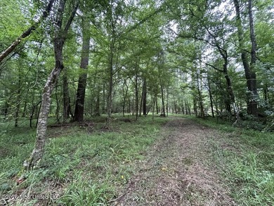 If you've been searching for a manageable hunting property with - photo 30