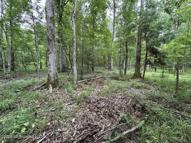 If you've been searching for a manageable hunting property with - photo 31