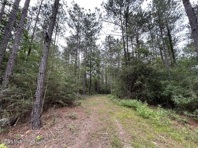 If you've been searching for a manageable hunting property with - photo 32