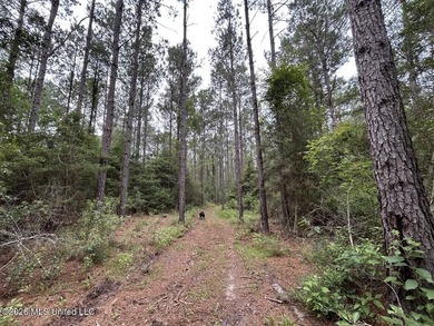 If you've been searching for a manageable hunting property with - photo 33
