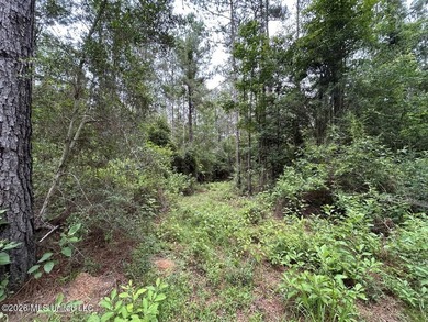 If you've been searching for a manageable hunting property with - photo 34