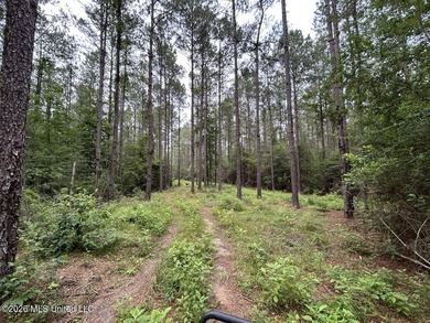 If you've been searching for a manageable hunting property with - photo 35