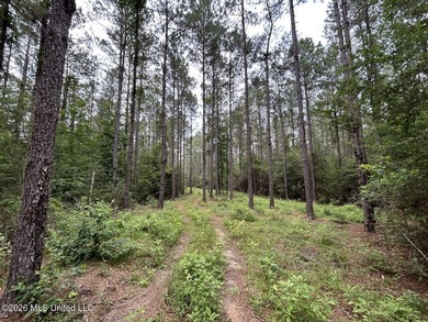 If you've been searching for a manageable hunting property with - photo 36
