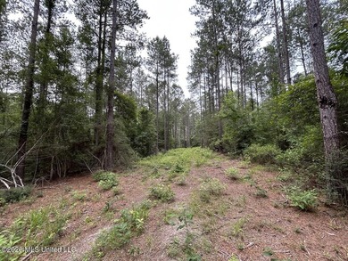 If you've been searching for a manageable hunting property with - photo 37