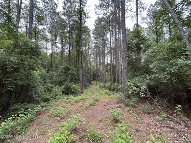 If you've been searching for a manageable hunting property with - photo 38