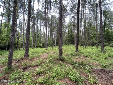If you've been searching for a manageable hunting property with - photo 39