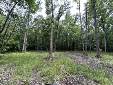 If you've been searching for a manageable hunting property with - photo 40