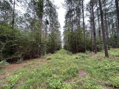 If you've been searching for a manageable hunting property with - photo 41