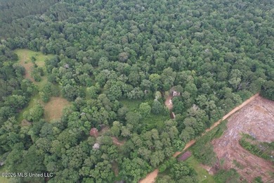If you've been searching for a manageable hunting property with - photo 45