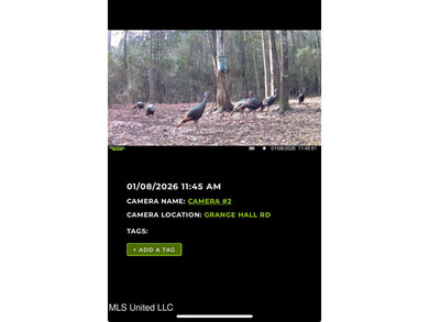 If you've been searching for a manageable hunting property with - photo 48