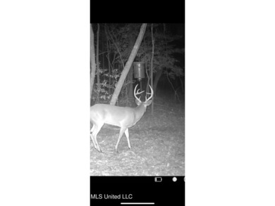 If you've been searching for a manageable hunting property with - photo 49