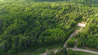 7.5 acre building site on Co Rd 422 just off the Crane Lake Rd - Lake Lot For Sale in Buyck, Minnesota