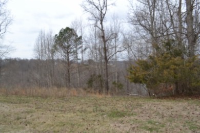 1.03 AC W/ CENTER HILL LAKE, TN & MTNS -- YEAR AROUND VIEW - photo 3