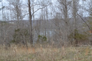 1.03 AC W/ CENTER HILL LAKE, TN & MTNS -- YEAR AROUND VIEW - photo 8