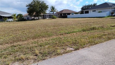 This amazing cleared lot is perfect for your dream home ! - photo 2