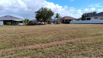 This amazing cleared lot is perfect for your dream home ! - photo 6
