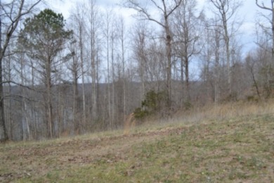 1.03 AC W/ CENTER HILL LAKE, TN & MTNS -- YEAR AROUND VIEW - photo 14