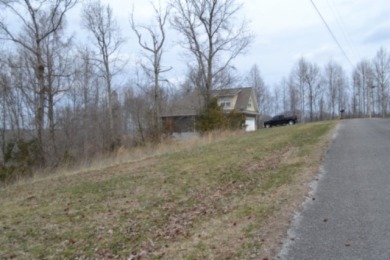 1.03 AC W/ CENTER HILL LAKE, TN & MTNS -- YEAR AROUND VIEW - photo 17