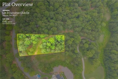 Lake Lot For Sale in Toccoa, Georgia