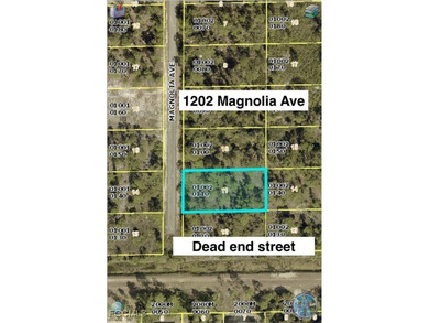Lehigh Acres Area Lot Sale Pending in Lehigh Acres Florida