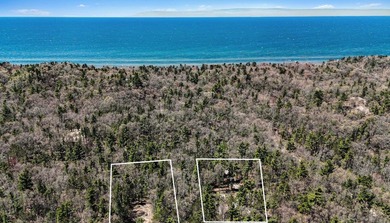 Peace, quiet and Lake Michigan! Northside of Pentwater in the - photo 26
