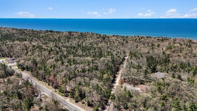 Peace, quiet and Lake Michigan! Northside of Pentwater in the - photo 27