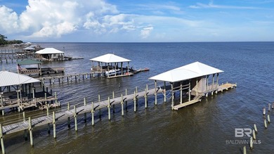 A Once-in-a-Century Opportunity on the Shores of Mobile Bay. For - photo 30