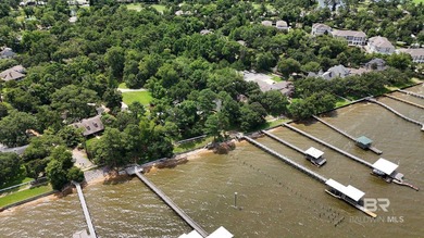 A Once-in-a-Century Opportunity on the Shores of Mobile Bay. For - photo 32