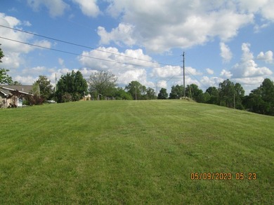 This outstanding acreage is located close to I-75 and downtown - photo 4
