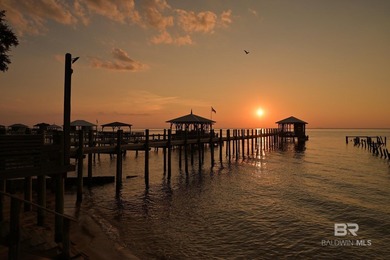 A Once-in-a-Century Opportunity on the Shores of Mobile Bay. For - photo 40