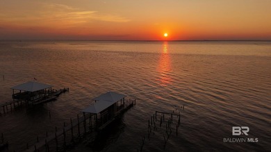 A Once-in-a-Century Opportunity on the Shores of Mobile Bay. For - photo 41