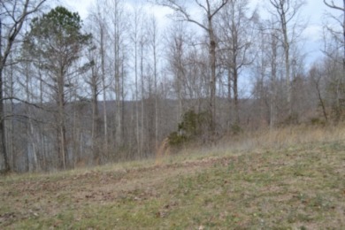 1.03 AC W/ CENTER HILL LAKE, TN & MTNS -- YEAR AROUND VIEW - photo 15