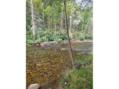 Lake Lot For Sale in Suches, Georgia