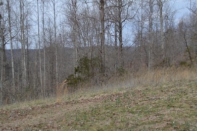 1.03 AC W/ CENTER HILL LAKE, TN & MTNS -- YEAR AROUND VIEW - photo 13