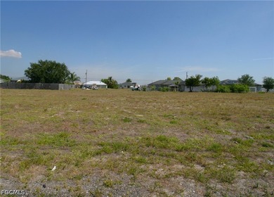 Exceptional opportunity in one of Cape Coral's fast growing - photo 3