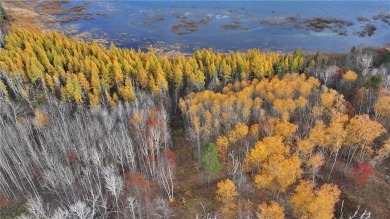 Lake Acreage For Sale in Lake George, Minnesota