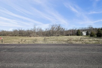 Over an acre of prime land with access to Lake Wisconsin and the - photo 8